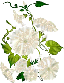 flover_0012.gif