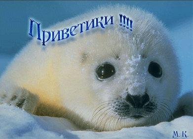 968940157.gif