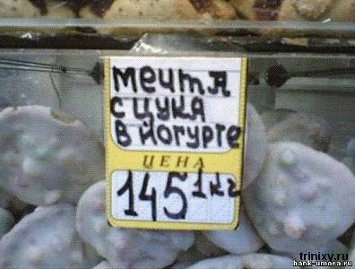 мечта.jpg
