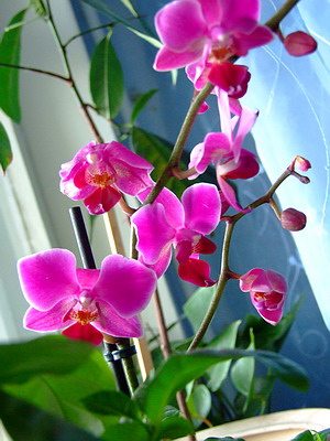 DSCF7165.jpg