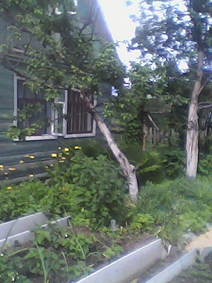 DSC_0000034.jpg