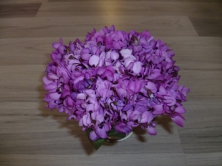 P1050713.jpg