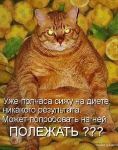 7a8cfc18457e.jpg