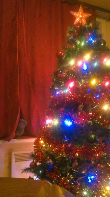 2013-12-08-280.jpg