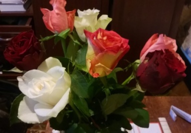 WP_20140506_002.jpg