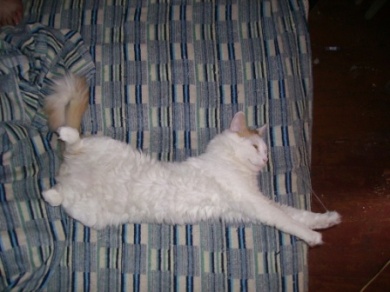PICT0157.JPG
